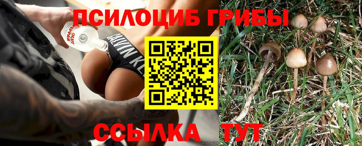 Псилоцибиновые грибы MAGIC MUSHROOMS Зеленодольск